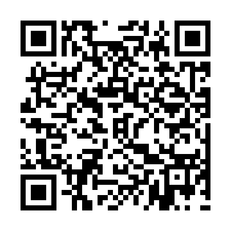 QR code for QLS953