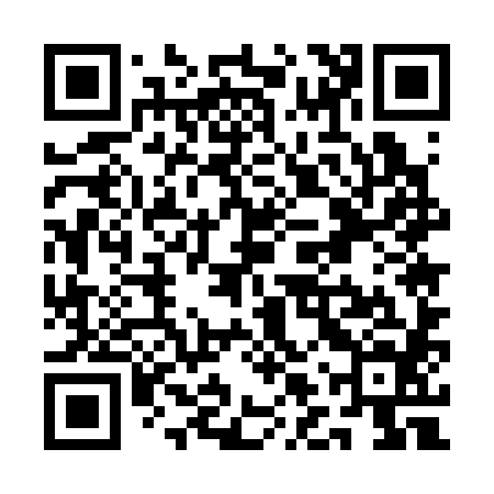 QR code for QLU384