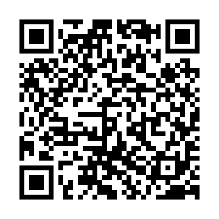 QR code for QPG291