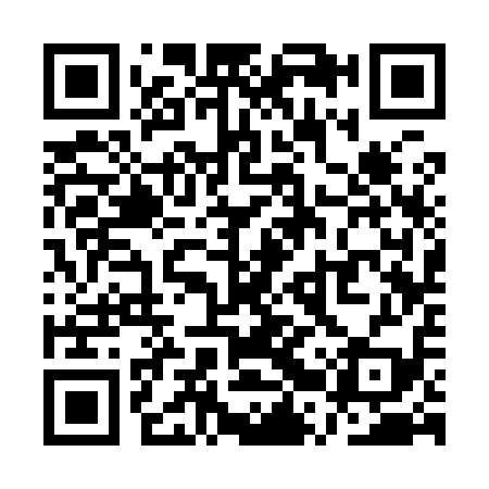 QR code for QRS919