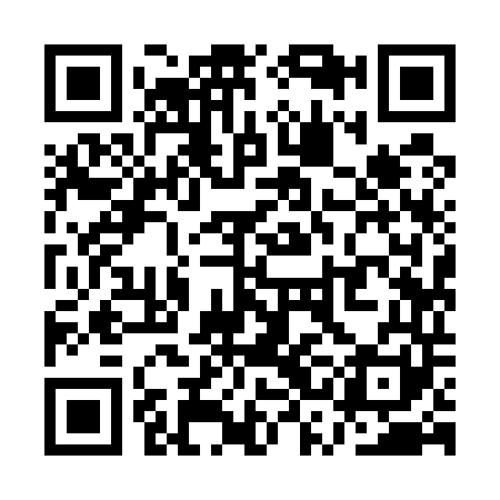 QR code for QSI541