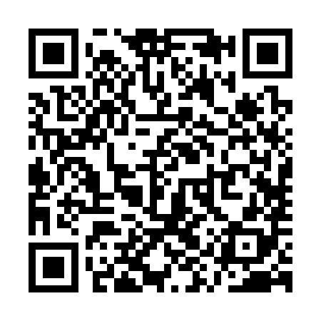QR code for QYR388