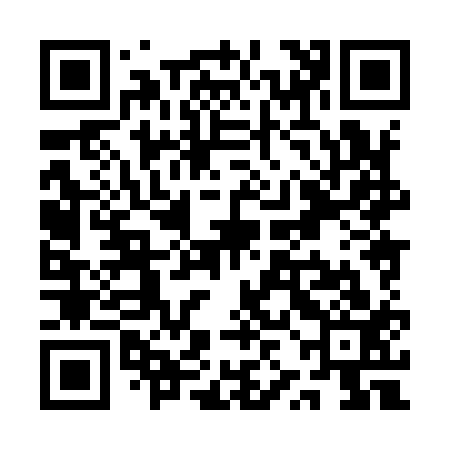 QR code for QZH913