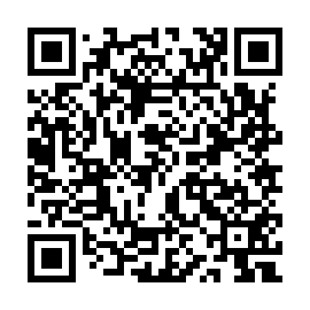 QR code for QZJ951
