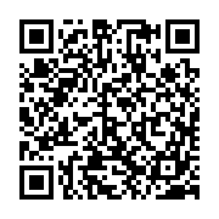QR code for QZR377