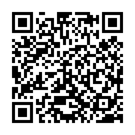 QR code for QZX438