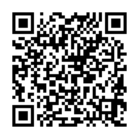 QR code for RAE991