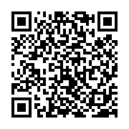 QR code for RAO411