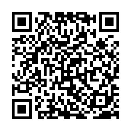 QR code for RAO991