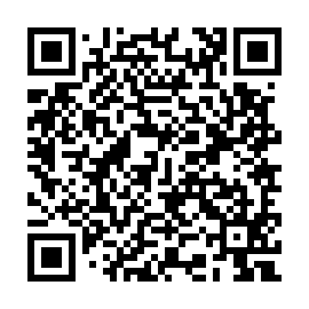 QR code for RCZ595
