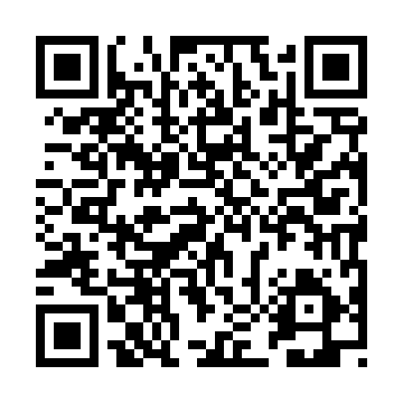 QR code for REI495