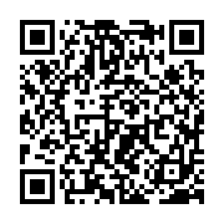 QR code for REZ313