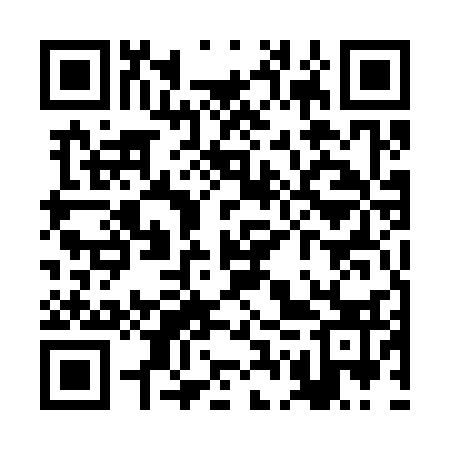 QR code for RGU333