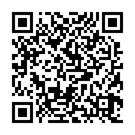 QR code for RIC228
