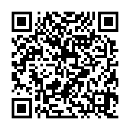 QR code for RIC335
