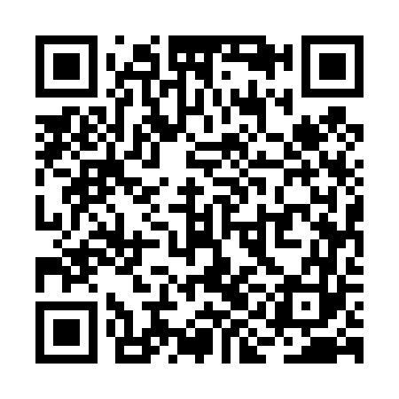 QR code for RIE463