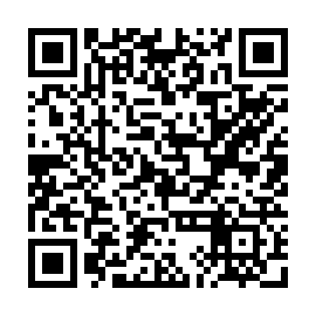 QR code for RII223