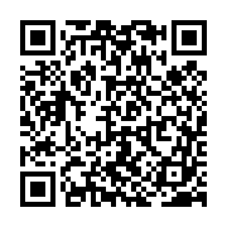 QR code for RIS463