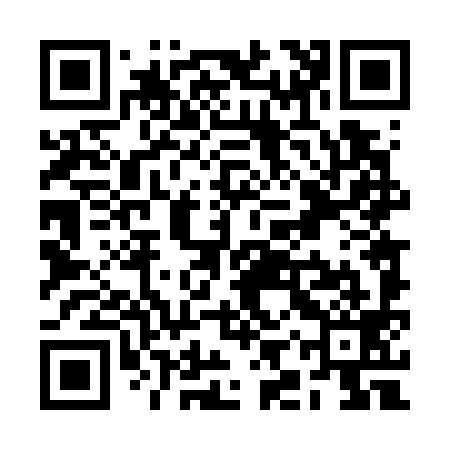 QR code for RIT799