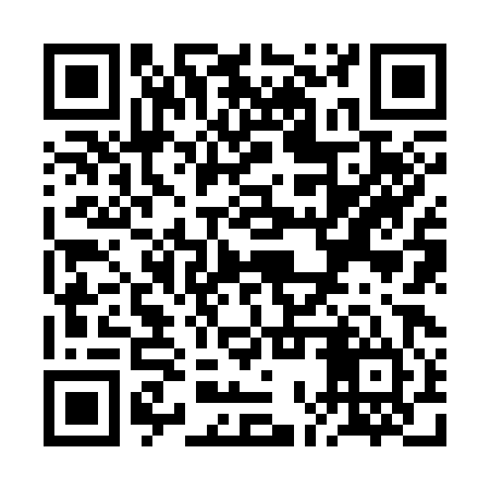 QR code for ROZ384