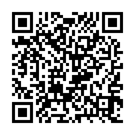 QR code for RPT913