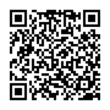 QR code for RSM295