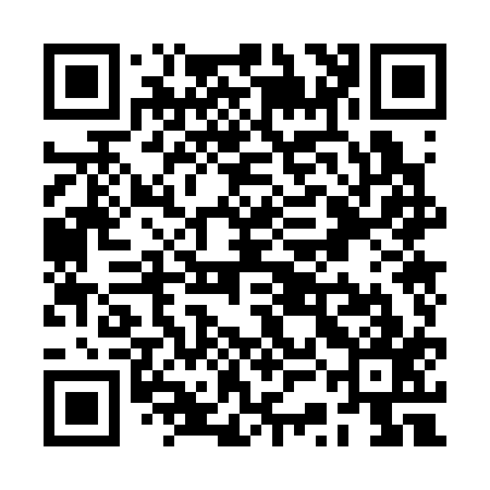 QR code for RSO317