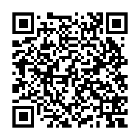 QR code for RSR228
