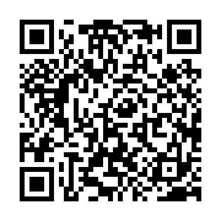 QR code for RYP233