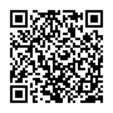 QR code for RYZ303