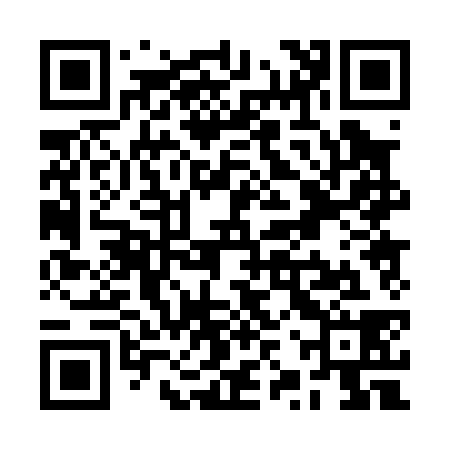 QR code for RZP038