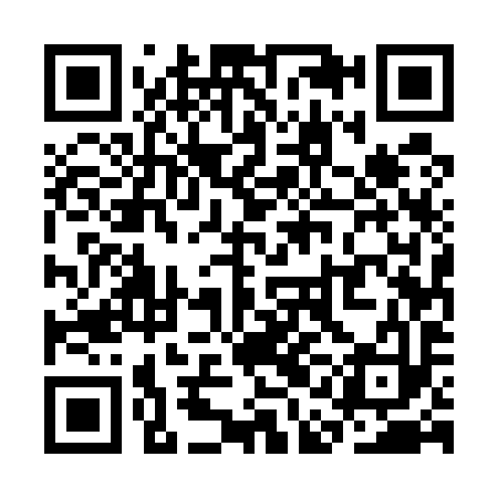 QR code for SAE593