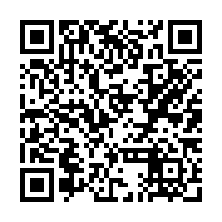 QR code for SAF381