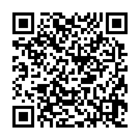 QR code for SAS336