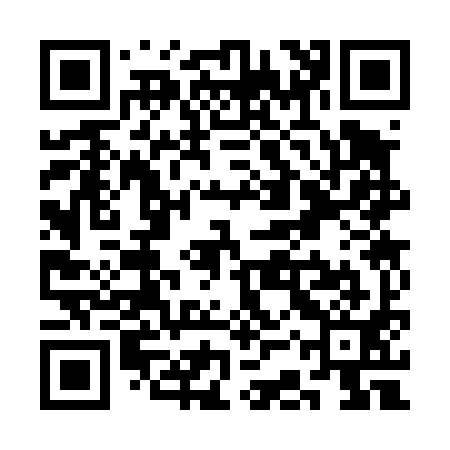 QR code for SCS491