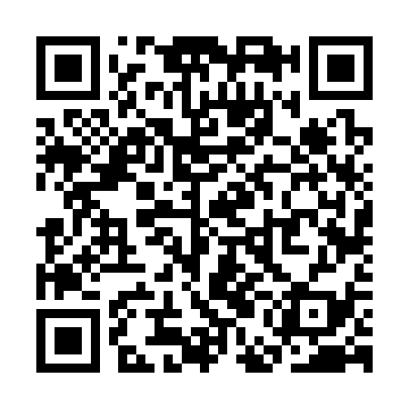 QR code for SEF339