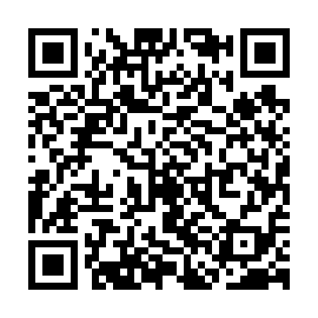 QR code for SFE619