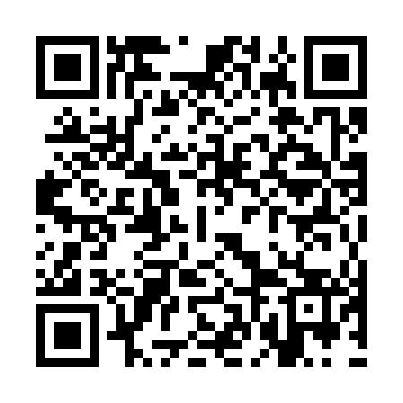 QR code for SFM343