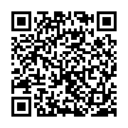 QR code for SFO333
