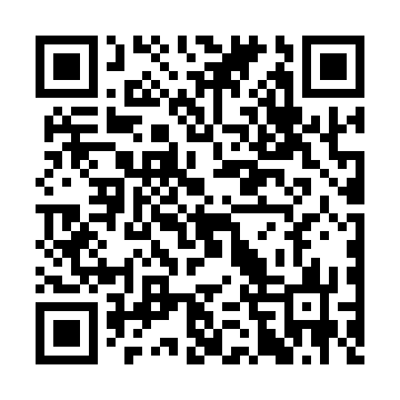 QR code for SFV173