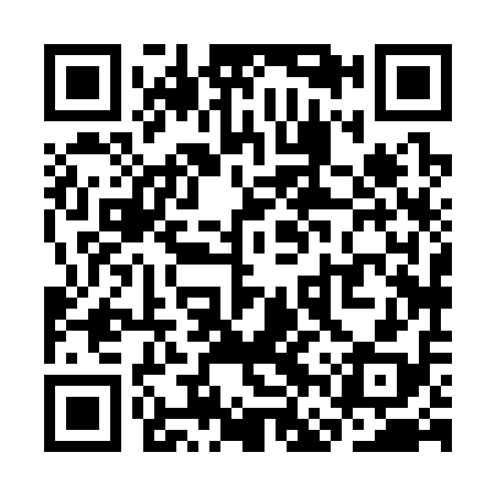 QR code for SFX318