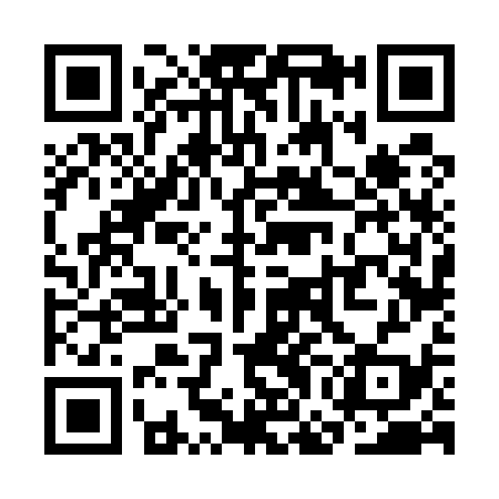 QR code for SGF539