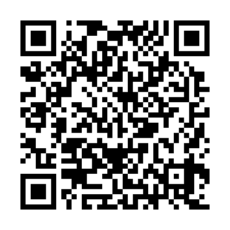 QR code for SHJ339