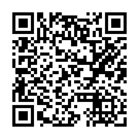 QR code for SIJ919