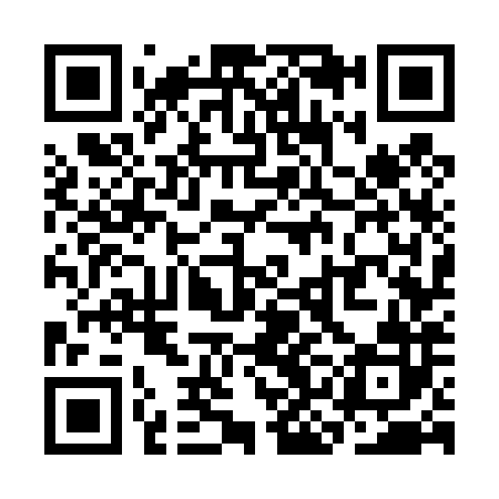 QR code for SKG482