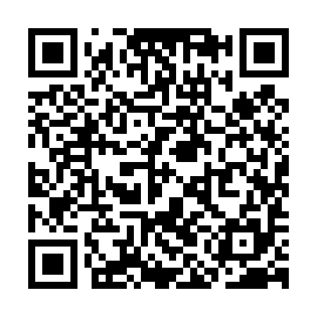 QR code for SMI495