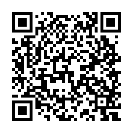 QR code for SRP383