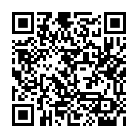 QR code for SSK368