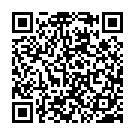 QR code for SST161