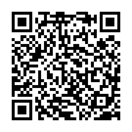QR code for SSX599